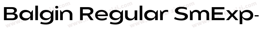 Balgin Regular SmExp字体转换
